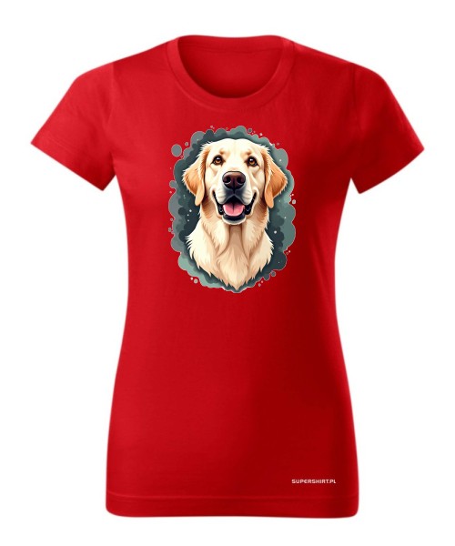 Golden Retriever 2