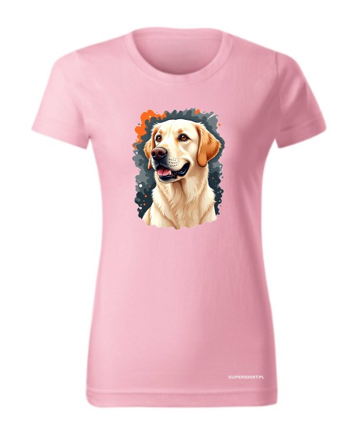 Golden Retriever 3