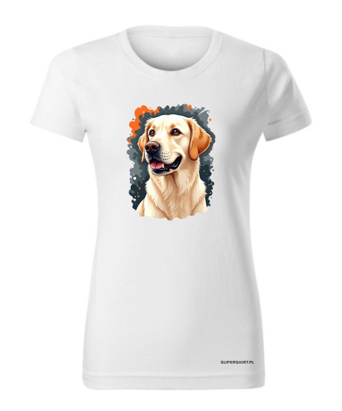 Golden Retriever 3