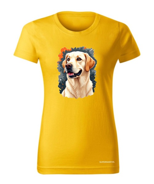 Golden Retriever 3