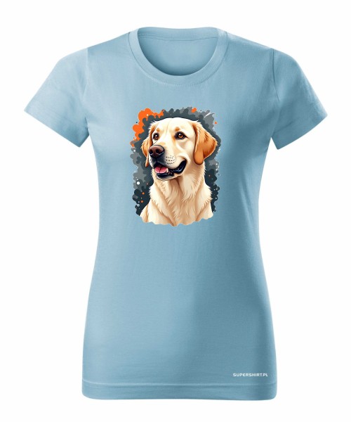 Golden Retriever 3