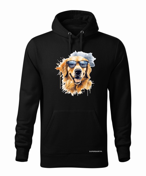 Golden Retriever w okularach