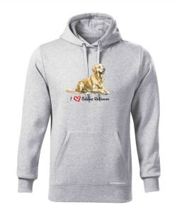 Golden Retriever leżący