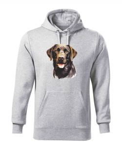 Labrador czekoladowy