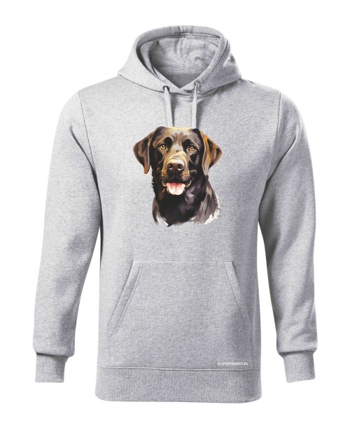 Labrador czekoladowy