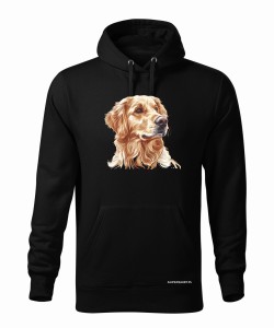 Golden retriever złoty
