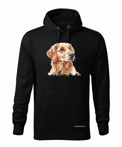 Golden retriever złoty