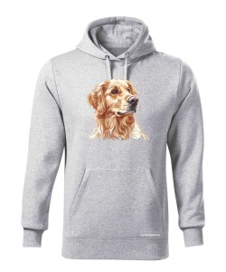 Golden retriever złoty