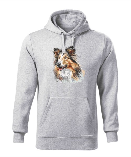 Owczarek szkocki collie