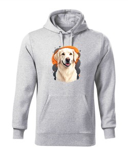Golden retriever 1