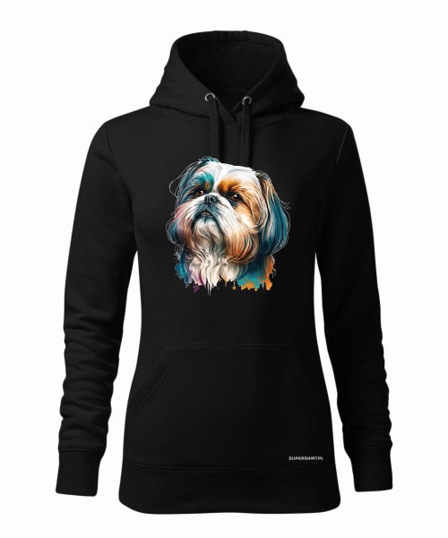 Shih Tzu 2 