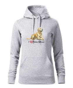 Golden Retriever leżący