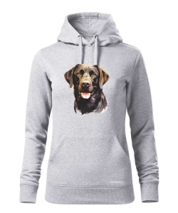 Labrador czekoladowy