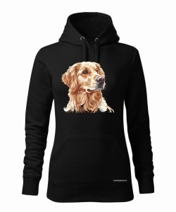 Golden retriever złoty