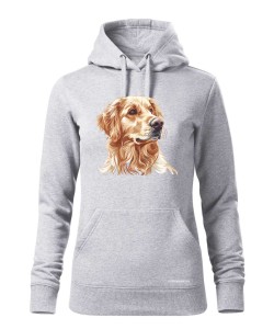 Golden retriever złoty