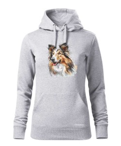 Owczarek szkocki collie