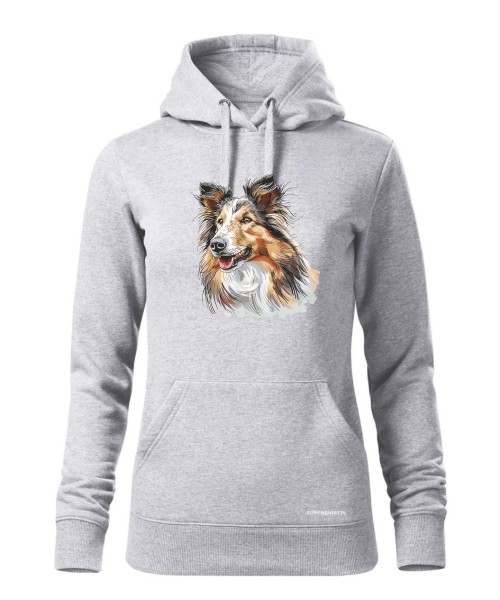 Owczarek szkocki collie