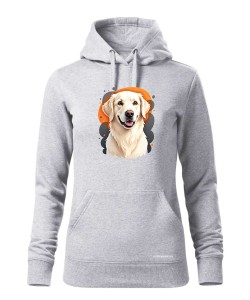 Golden retriever 1