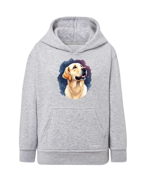 Golden retriever kosmos