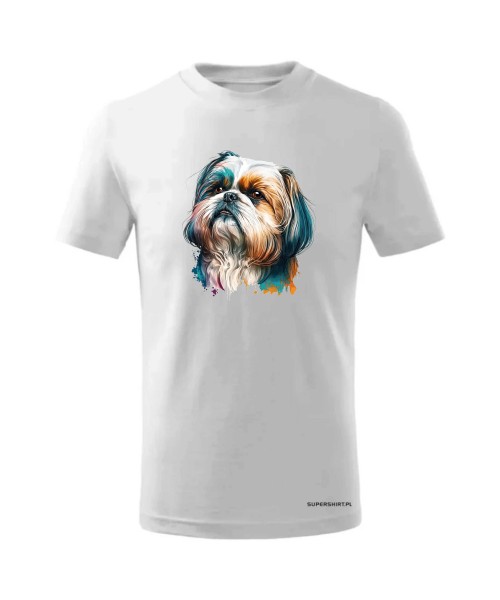Shih Tzu 2 