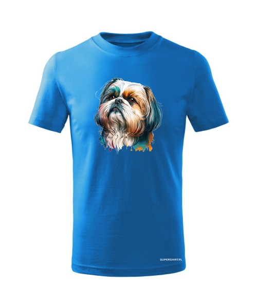 Shih Tzu 2 