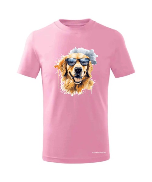 Golden Retriever w okularach