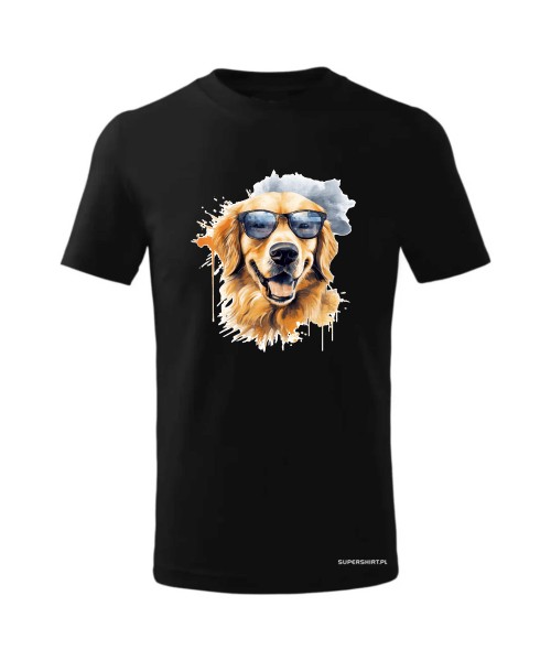 Golden Retriever w okularach