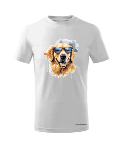 Golden Retriever w okularach