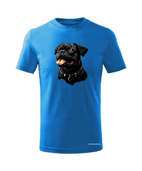 Mops 1