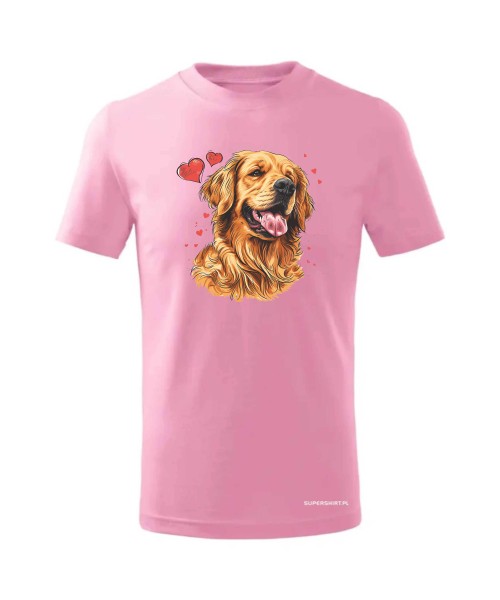 Golden Retriever serca