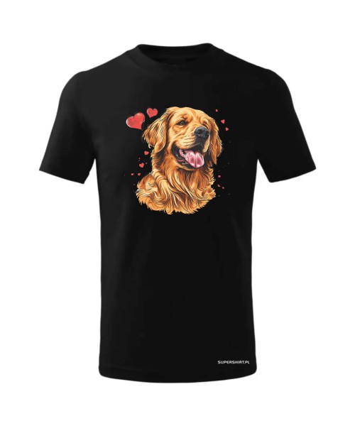 Golden Retriever serca