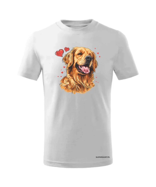 Golden Retriever serca