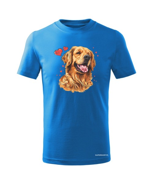 Golden Retriever serca