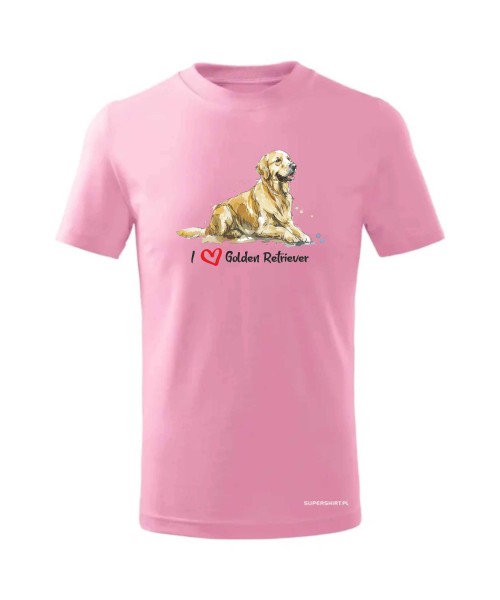 Golden Retriever leżący