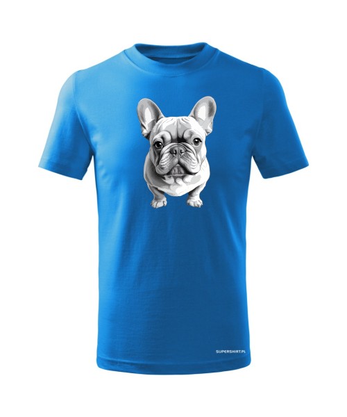 Buldog francuski