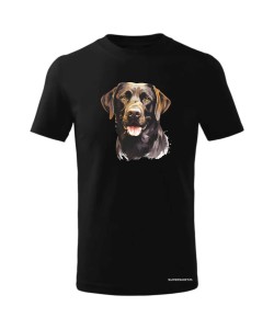 Labrador czekoladowy