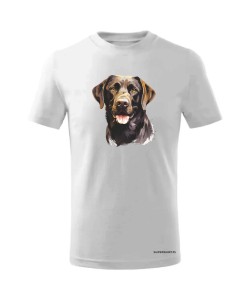 Labrador czekoladowy