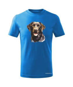 Labrador czekoladowy