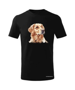Golden retriever złoty