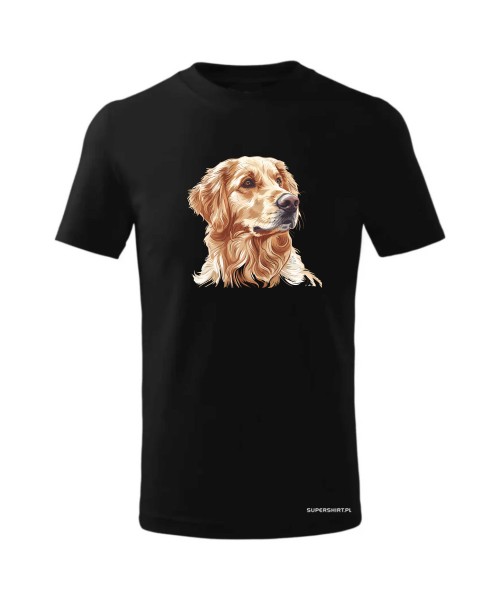 Golden retriever złoty