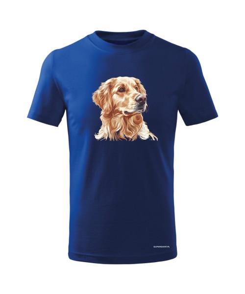 Golden retriever złoty