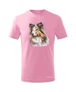 Owczarek szkocki collie