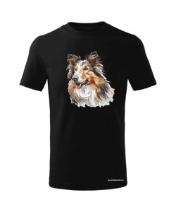 Owczarek szkocki collie