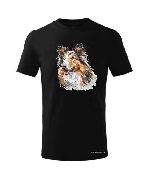 Owczarek szkocki collie