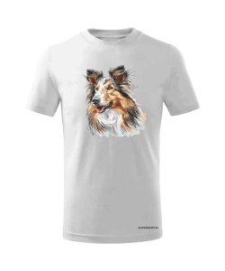 Owczarek szkocki collie