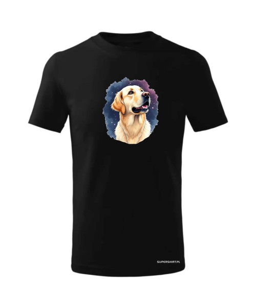 Golden retriever kosmos