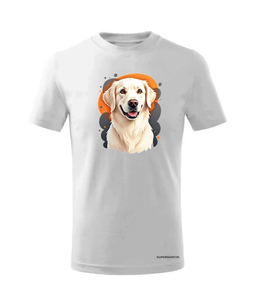 Golden retriever 1