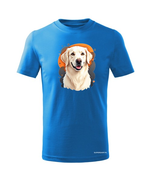 Golden retriever 1