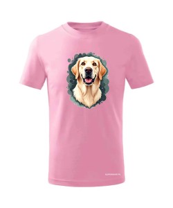 Golden Retriever 2