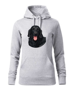 Flat coated retriever 1
